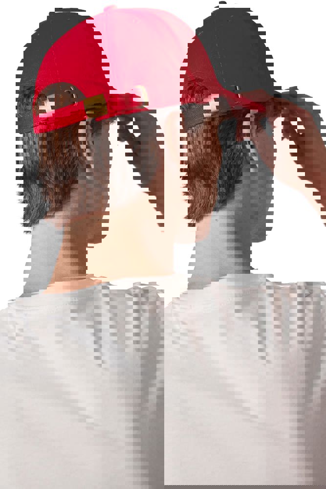 KP119 - Printer's pet 6 panelen