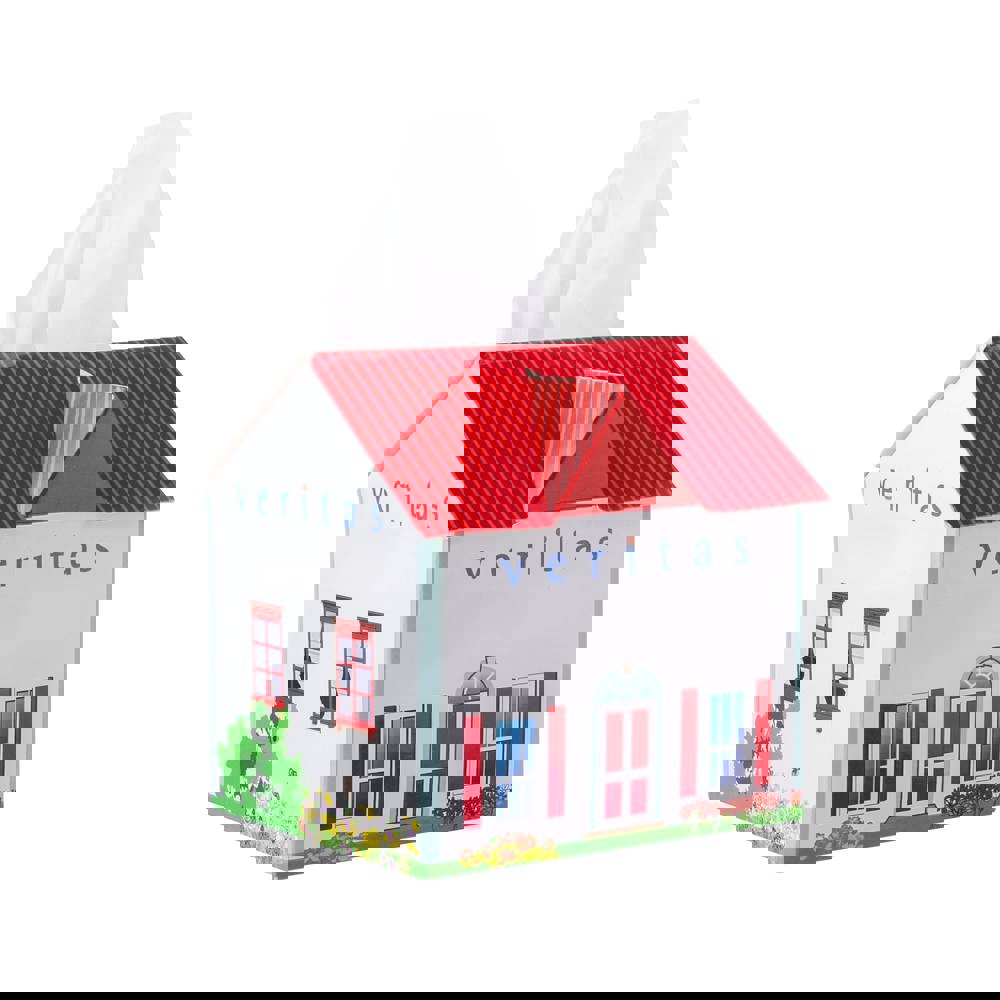 Tissue box huis
