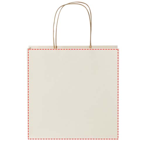 Papieren tas 150 g/m2 gemaakt van landbouwafval met gedraaide handgrepen - 24 x 9 x 24 cm