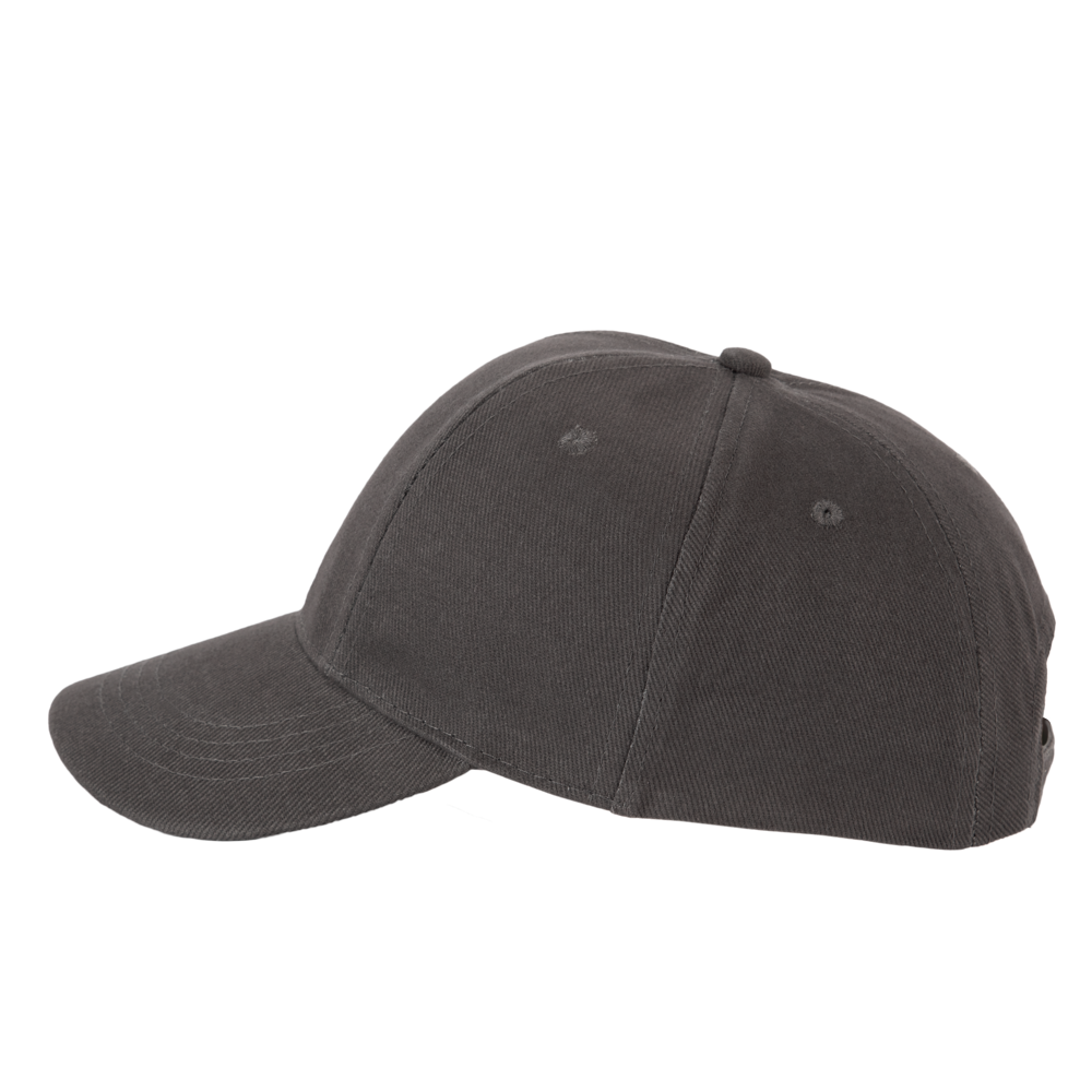 KP119 - Printer's pet 6 panelen