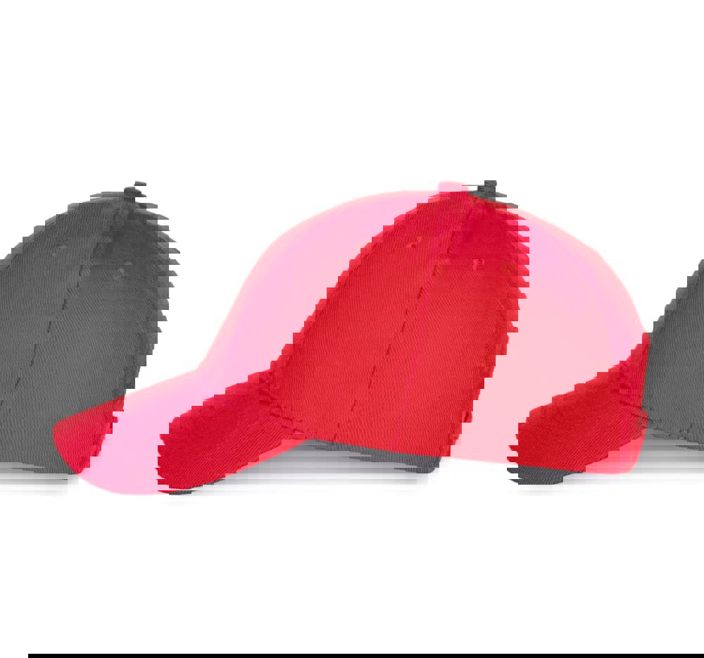 KP119 - Printer's pet 6 panelen