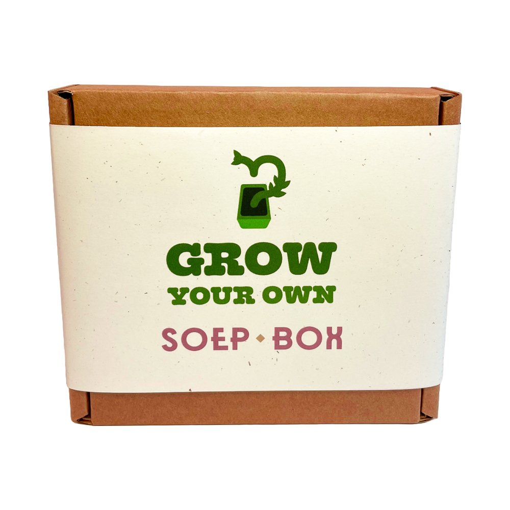 Groente kweekdoosje set 6 stuks