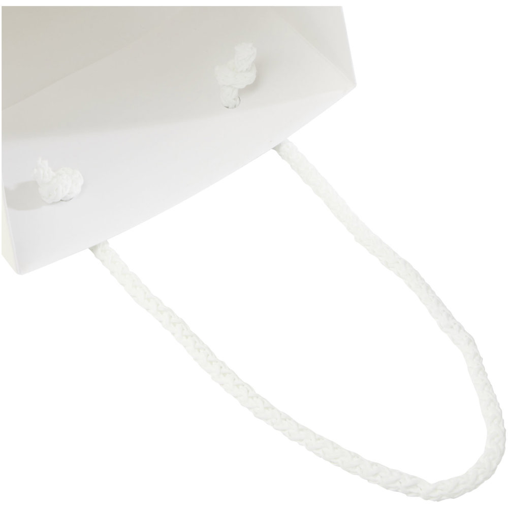 Handgemaakte 170 g/m2 integra papieren wijnflestas met PP woven handgrepen - 12 x 9 x 37 cm