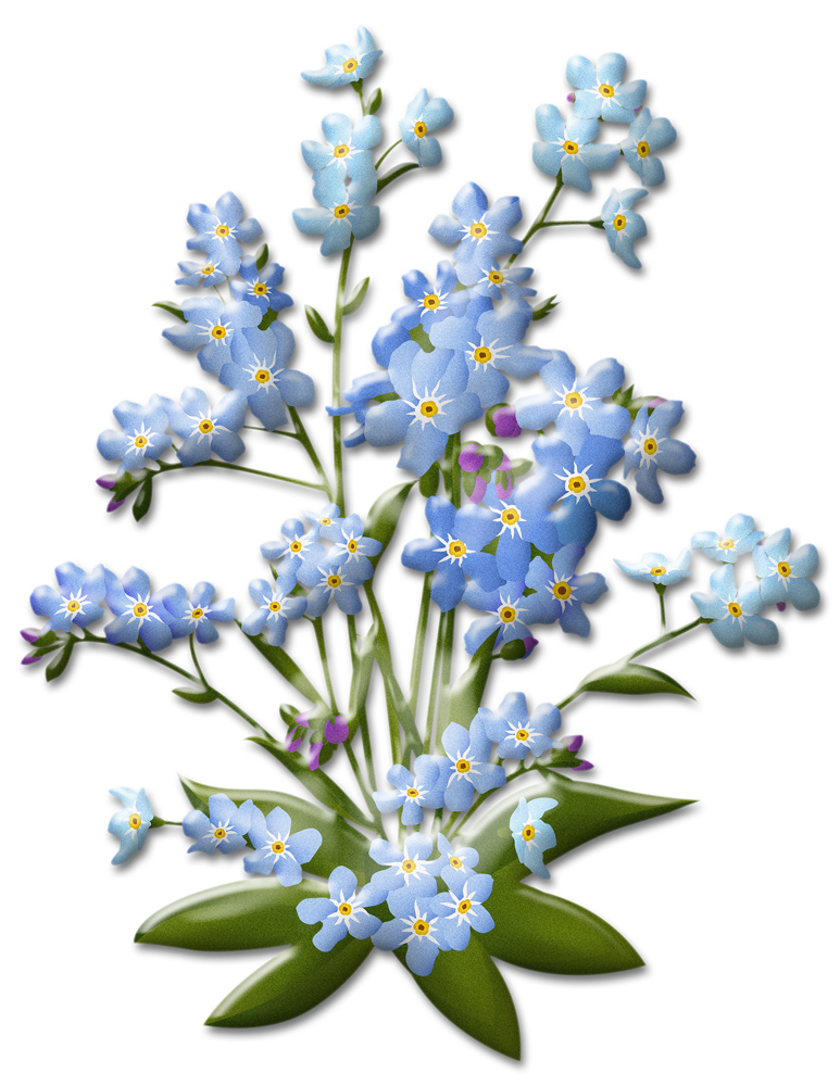 Transferstickers in elke vorm. Wat je print, dat plak je! Niet meer pellen of peuteren.