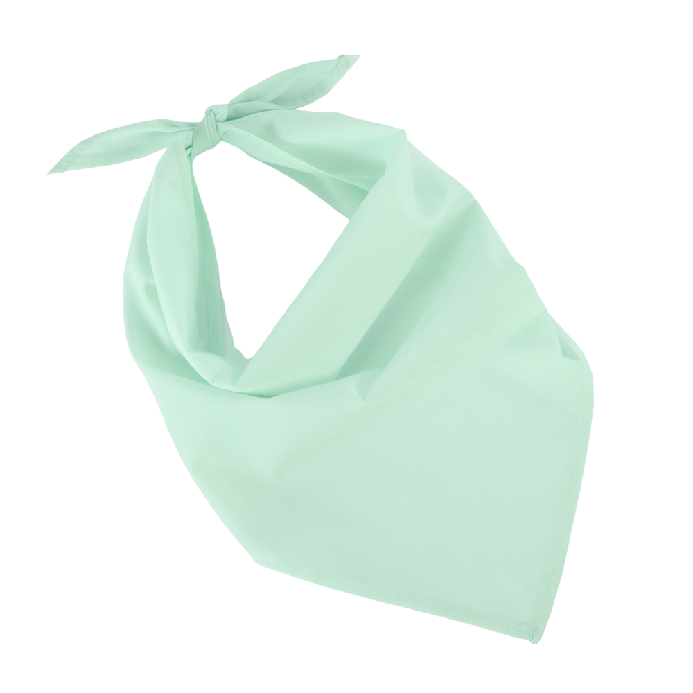 KP064 - Fiesta - Bandana - Frost Green