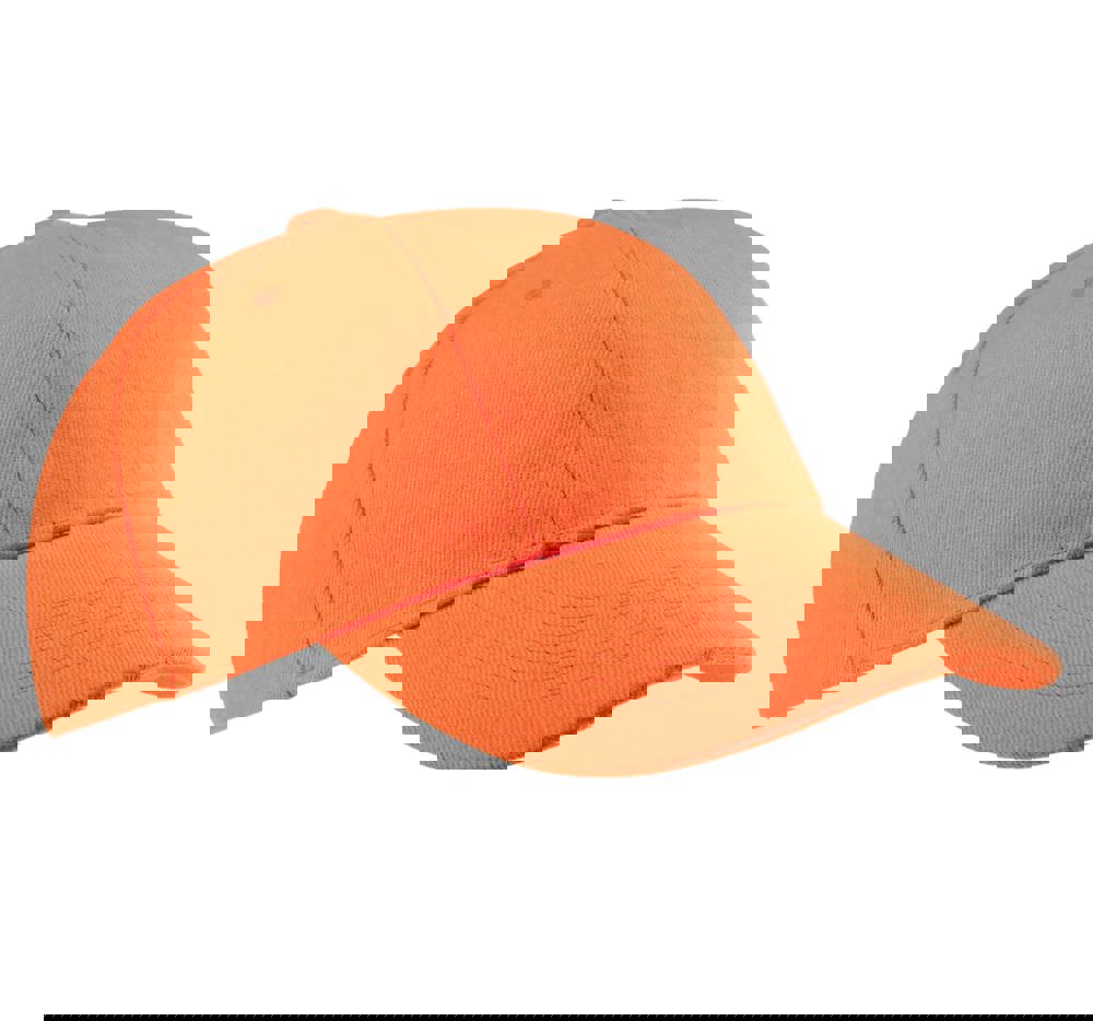 KP119 - Printer's pet 6 panelen