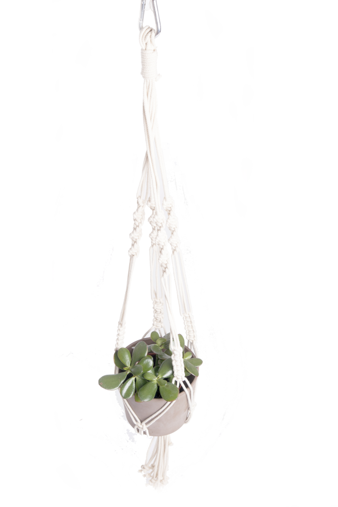 RESCUED - The Plant Guy - planthanger van scheerlijnen