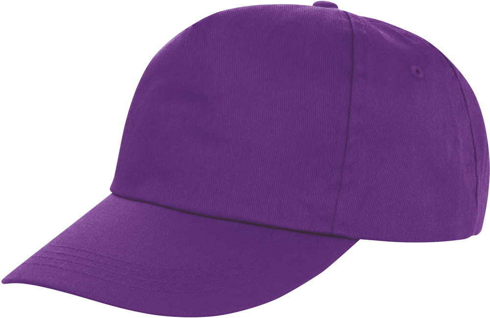RC080X - Houston Printers Cap - Purple