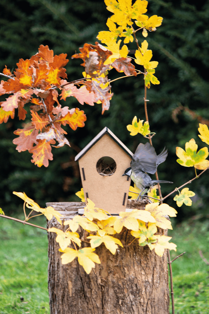 ECO HOME - Vogelhuis