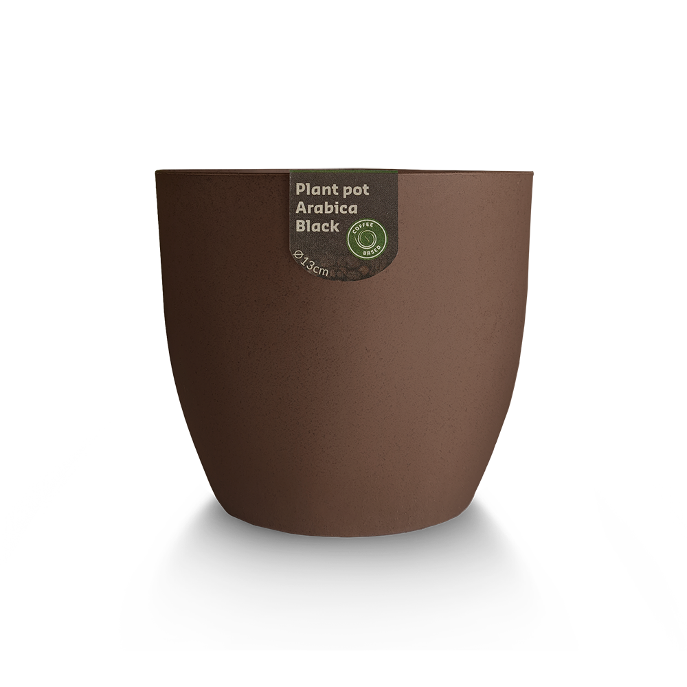 Plant pot met koffieplant
