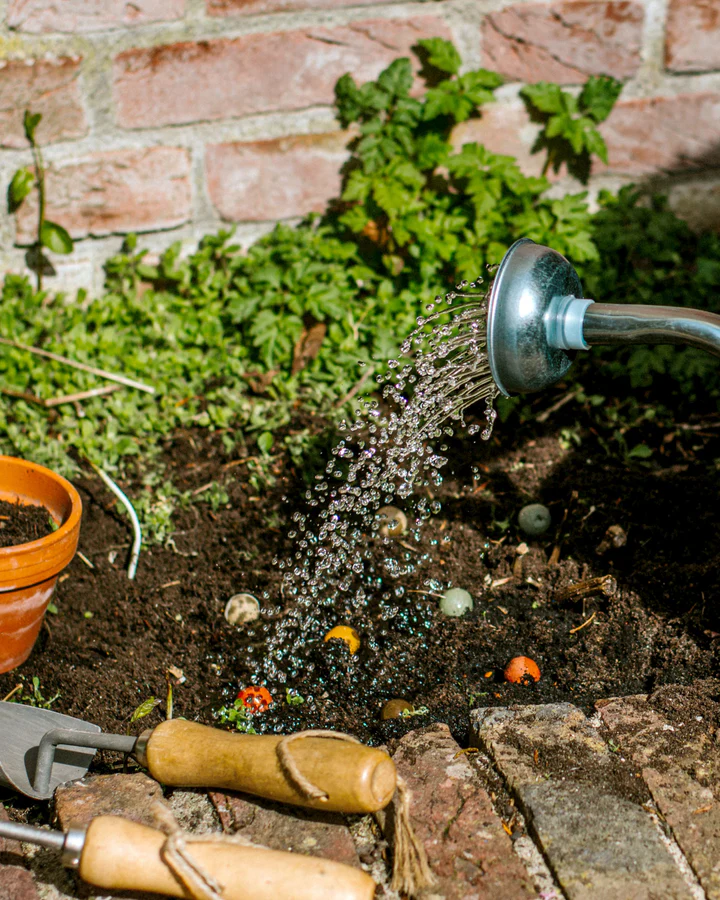 Blister-Kaart - Overige Thema's